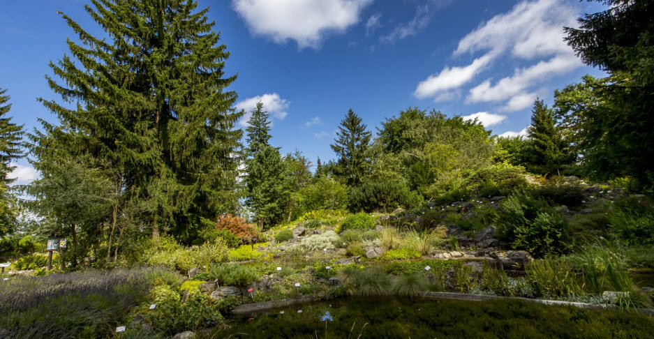 Botanical garden in Łódź, Łódź, Poland, Poland